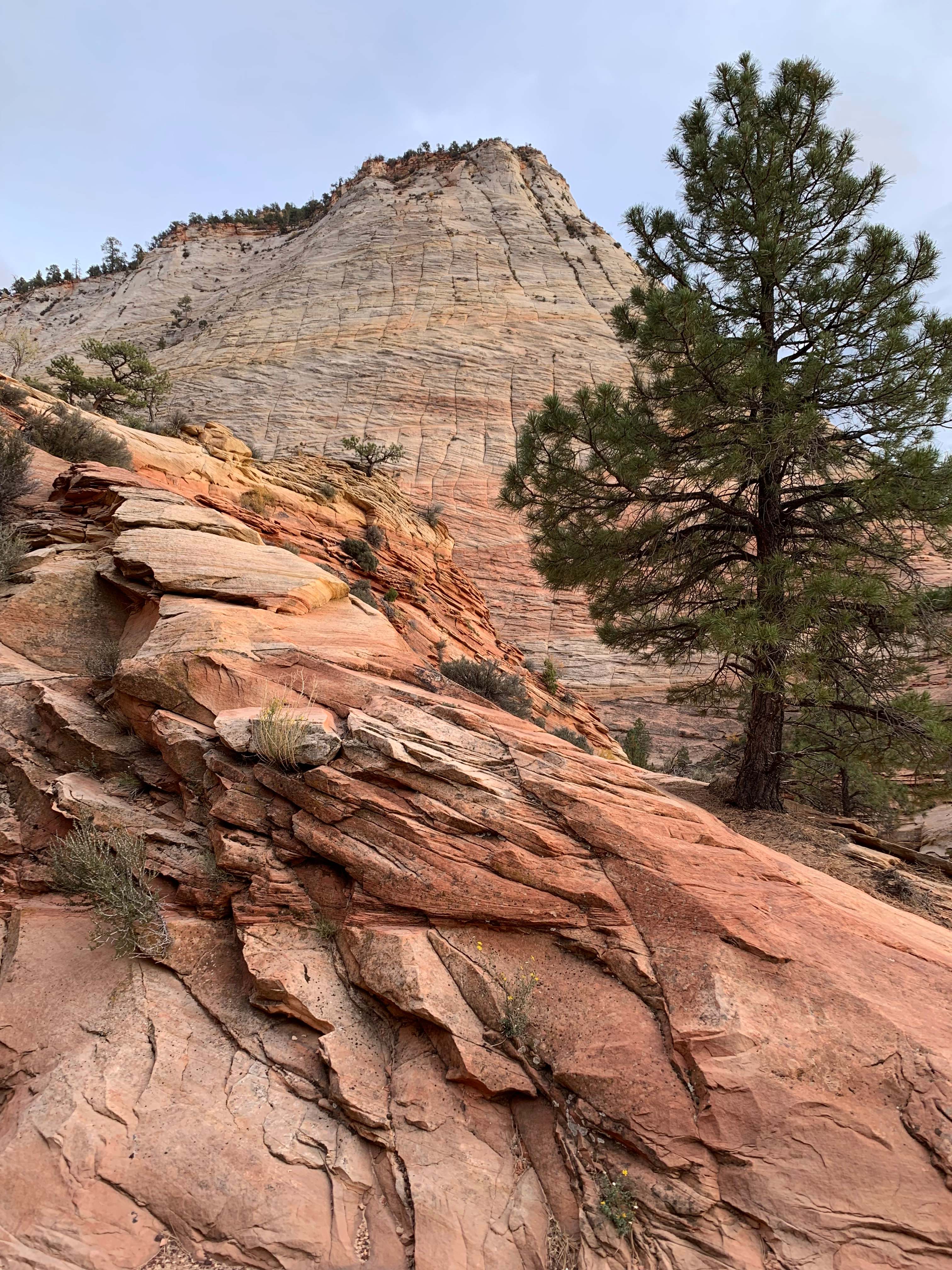 Zion NP